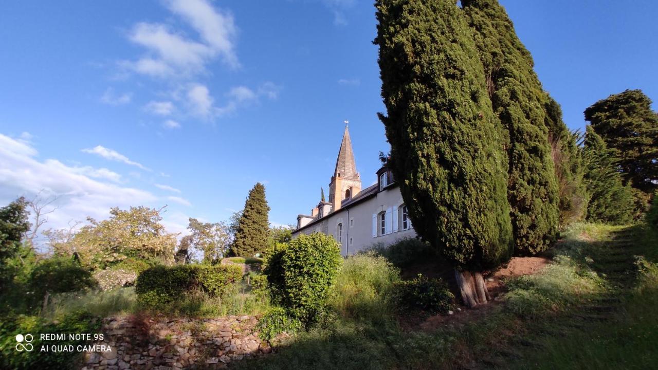 L'Angeline Bed & Breakfast Gennes-Val-de-Loire Dış mekan fotoğraf
